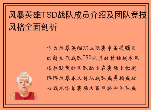 风暴英雄TSD战队成员介绍及团队竞技风格全面剖析